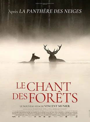 LE CHANT DES FORETS