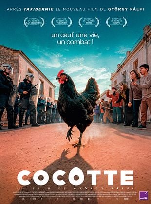 COCOTTE