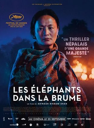 LES ELEPHANTS DANS LA BRUME